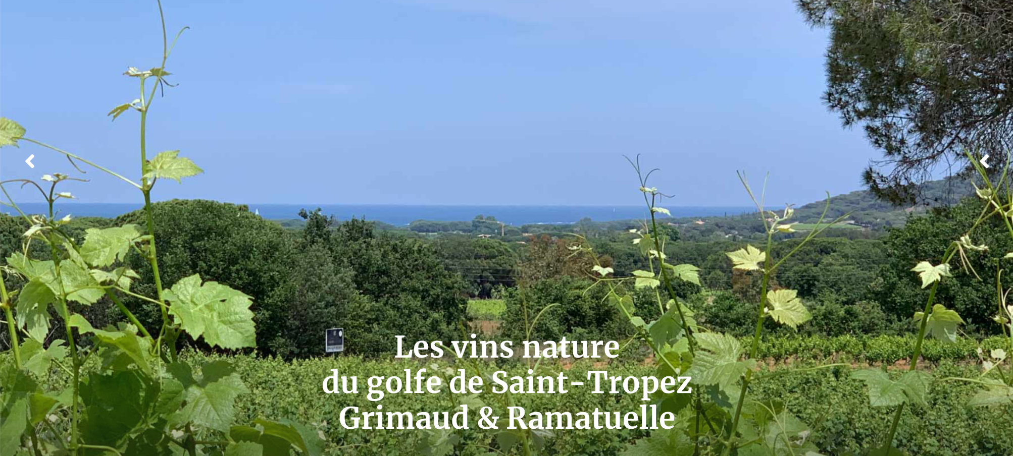 CLOS DES B<br />
Provence - Frankreich<br />
Winzer vigaraz